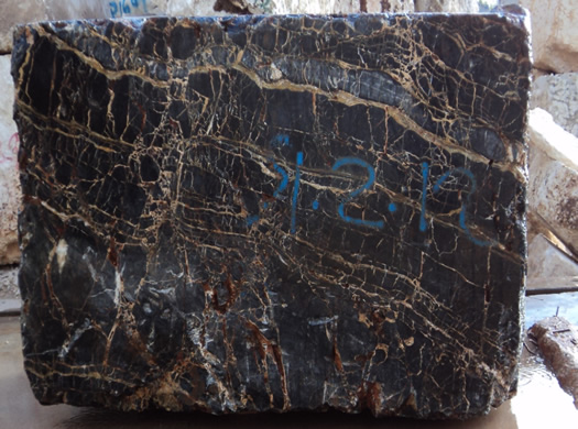 Classic Coral Saw Cut