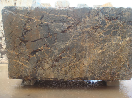 Colonial Coral Saw Cut
