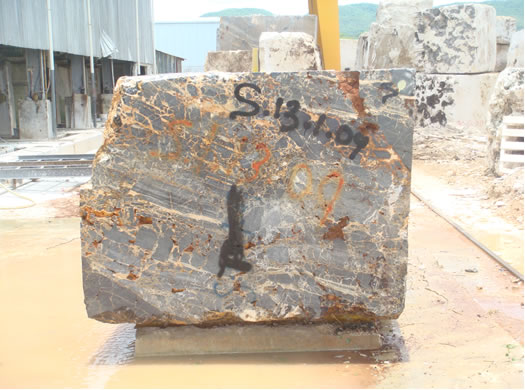 Classic Coral Saw Cut