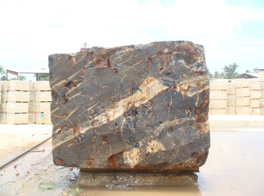 Colonial Coral Saw Cut