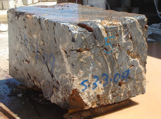 Golden Coral Saw Cut