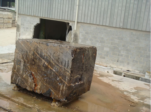 Golden Coral Saw Cut