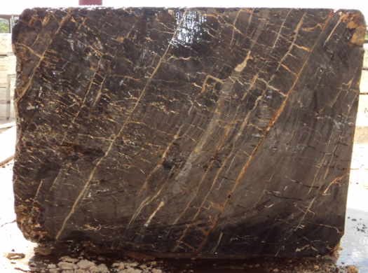 Colonial Coral Saw Cut