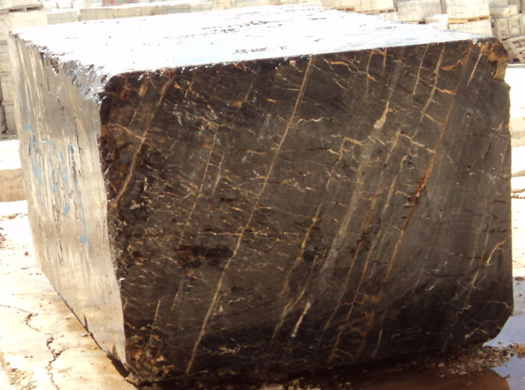 Golden Coral Saw Cut