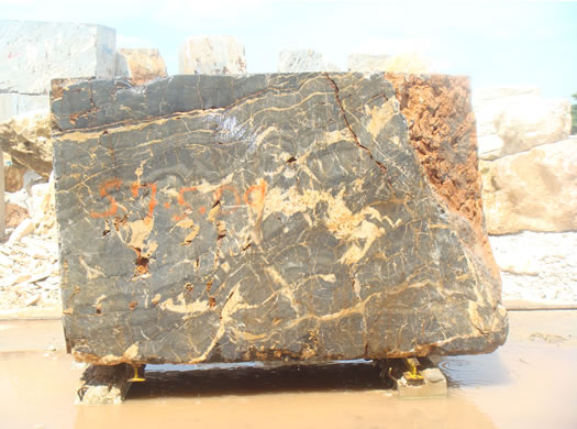 Classic Coral Saw Cut