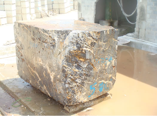Golden Coral Saw Cut